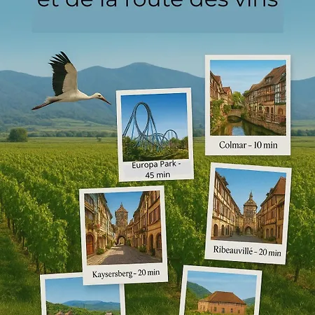 Le Petit Baz'art 2 Pieces Proche Colmar Apartament *